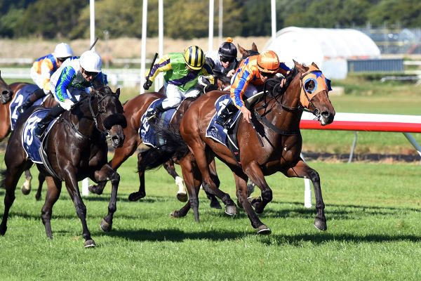 Te Akau team on song for Taupo