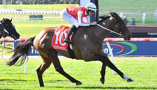 Guineas contender kicks off at Caulfield