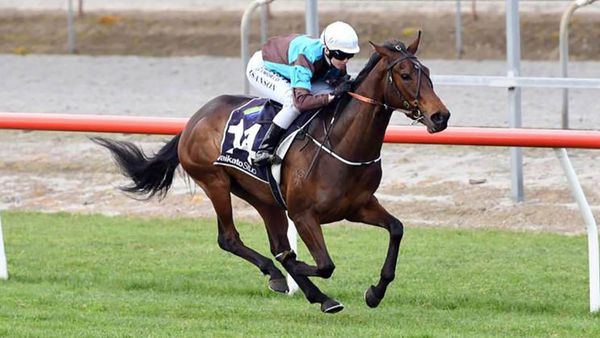 Tears Of Victory continues legacy