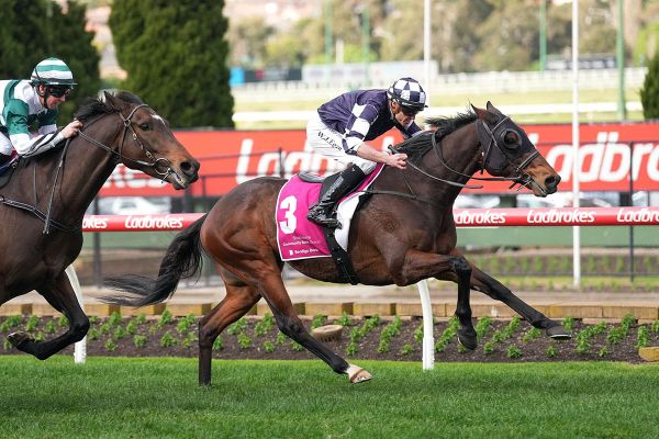 Successive wins for Young Werther