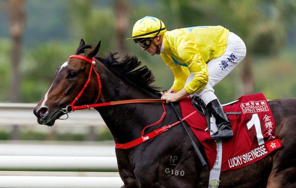 Zac Purton hopes Lucky Sweynesse is ready to rebound after two defeats