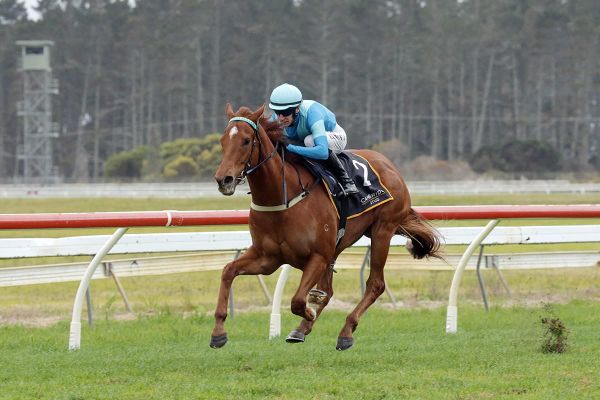 Sarten springboard to Guineas for Crocetti