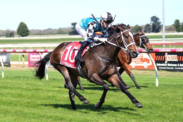 Derby dreaming for Eminent’s son Dulcet