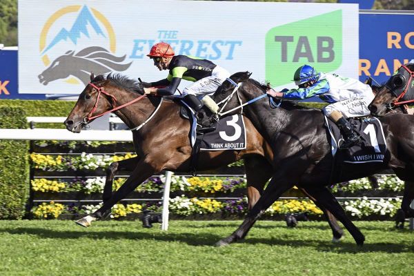 Spring over for I Wish I Win