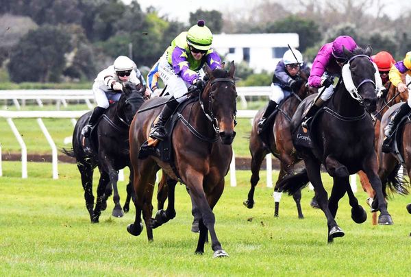Reid ready to set classy mare loftier goals