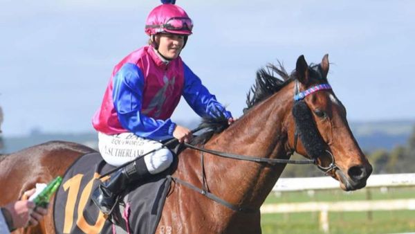 Kingfisher Lad gets tough win in Egmont Cup