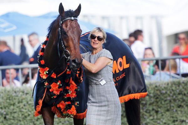 Sharrock seeks Cup redemption