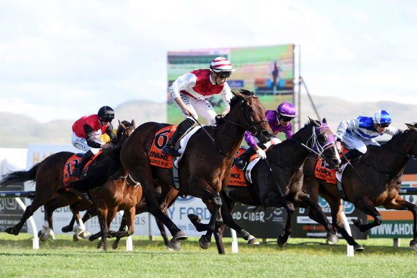 Melbourne Cup hopeful settled into Australian base