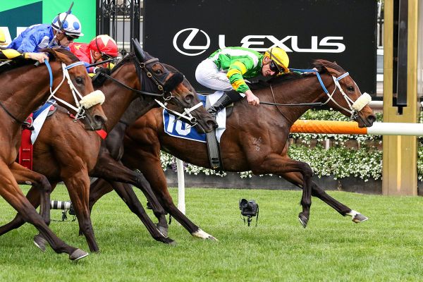 Life Lessons secures first stakes success