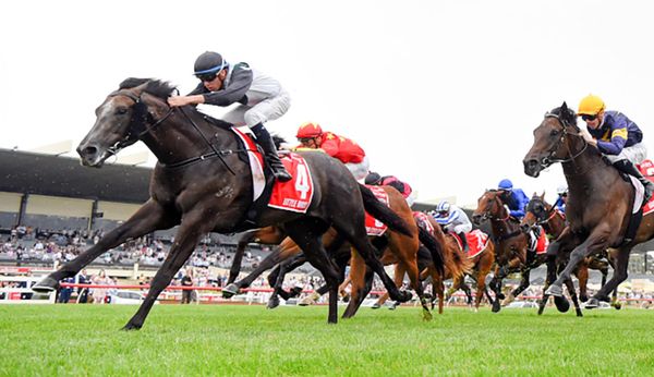Little Brose primed for Hong Kong debut