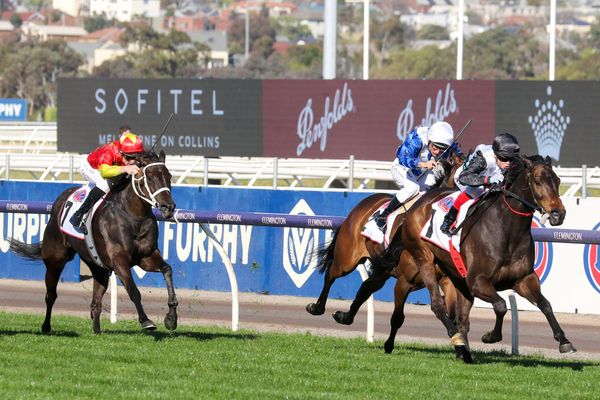 Mr Brightside right for Cox Plate tilt