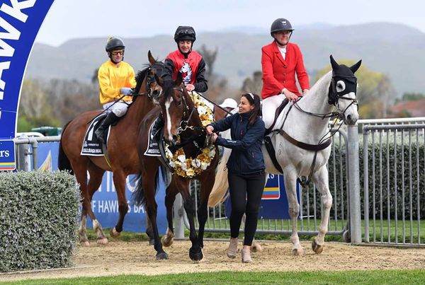 Drier conditions no issue for Mustang Valley
