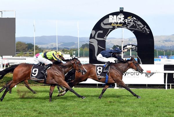 Classy filly Pignan set for three-year-old debut