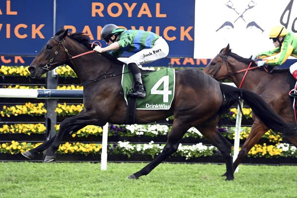 Renaissance Woman shines in Angst Stakes