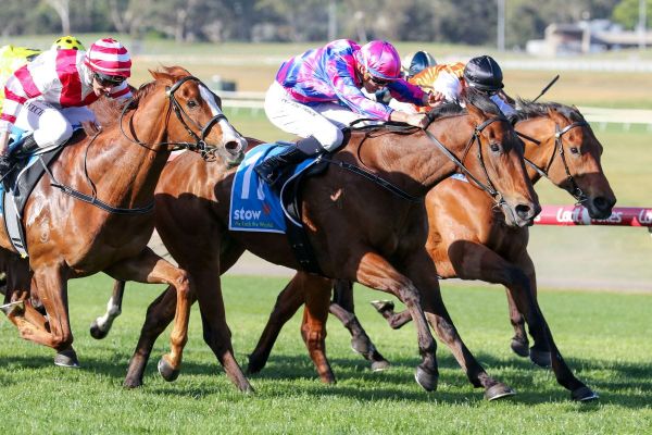 Rheinberg scores again at Sandown