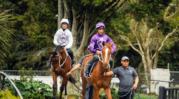 Breeze Up Footage Now Available to View Online