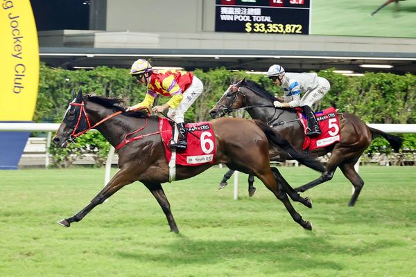 Cody Mo on the board care of Kiwi bred