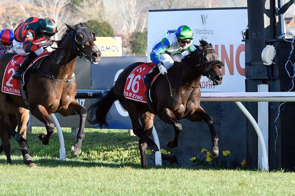 Skew Wiff set for Australian debut