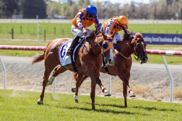 Star of Justice shines at Ashburton