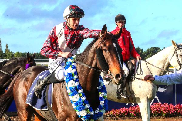 MacGregor looking for further Hastings success
