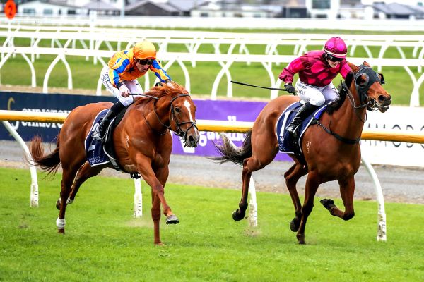 Southern fillies set to battle it out again