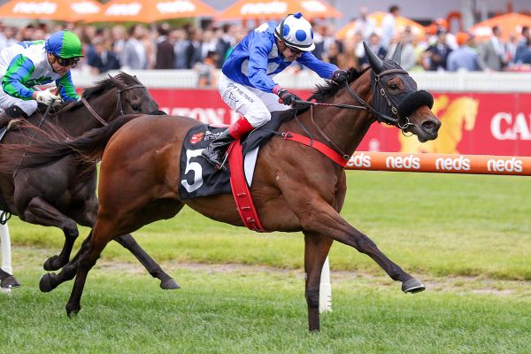 Tristarc victory for smart Wrote mare
