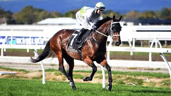 Australian experiment for Express Yourself