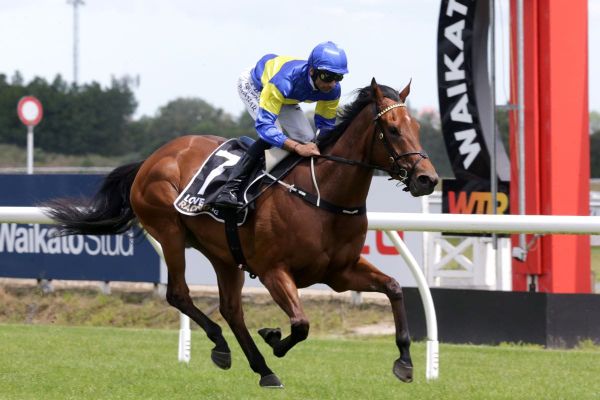 Grail Seeker impresses in maiden win