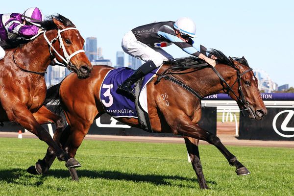 Sargent in search of fourth Wakeful with Harlow Mist 