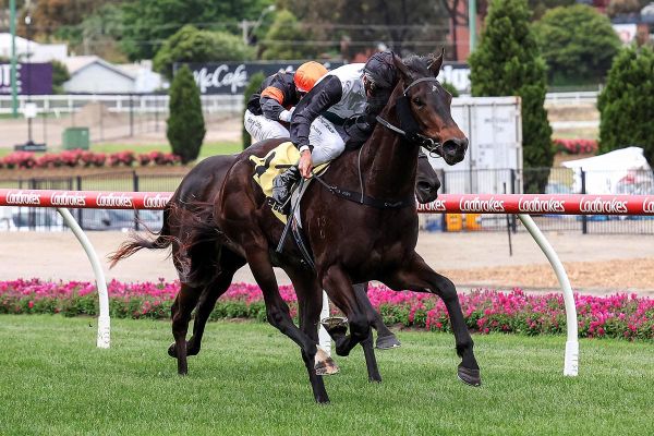 Mr Charismatic provides Valley redemption