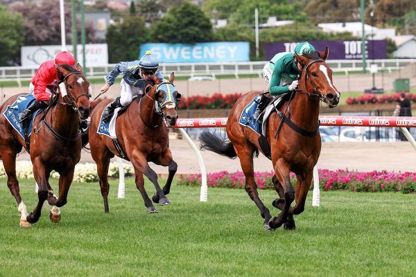 Mr Mojo Risin’ too good at The Valley