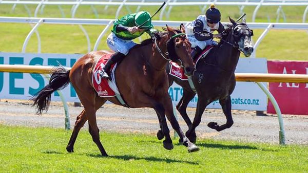 Noble stayer provides Cup Week consolation for Cunningham