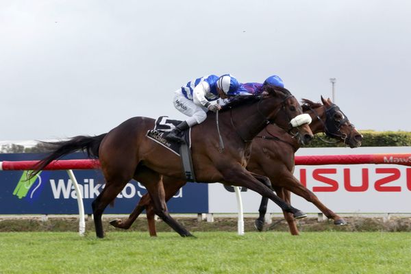 Talented mare chasing Australian prize