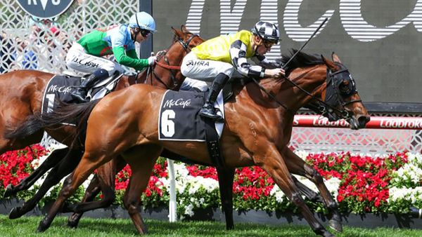 Prowess on song ahead of Group One task