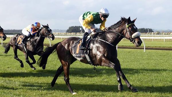 Bergerson team out in force at Wanganui