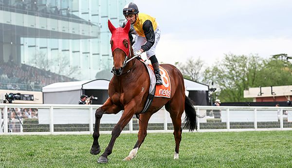 Mirfin unfazed as Derby outsider