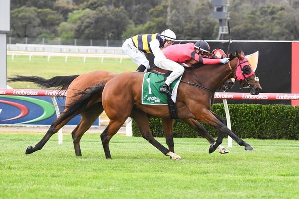 Tommy ends prep on a high