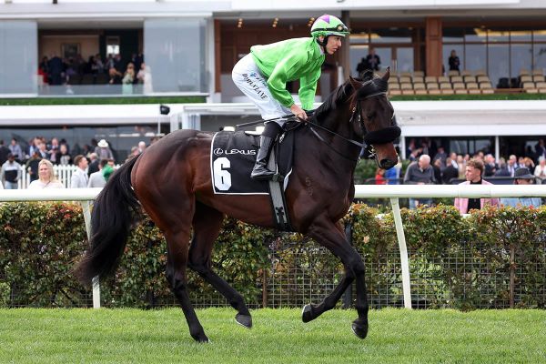 Jockey declared for Virtuous Circle