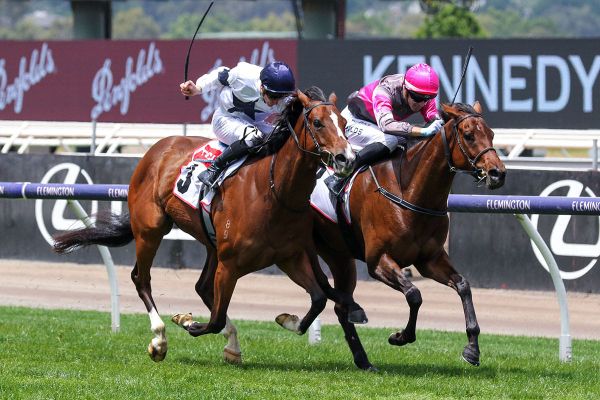 Wilde’s unorthodox plan works like a Charm