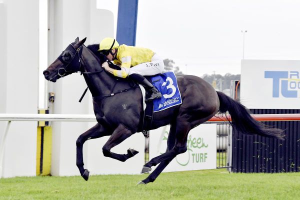 Blinkers to spark Thompson duo at Randwick