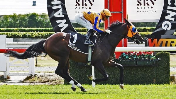 Busy Christmas ahead for Te Akau