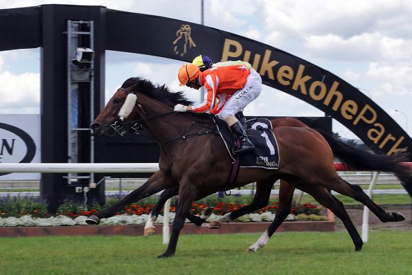 Williams vying for third Group One strike at Trentham