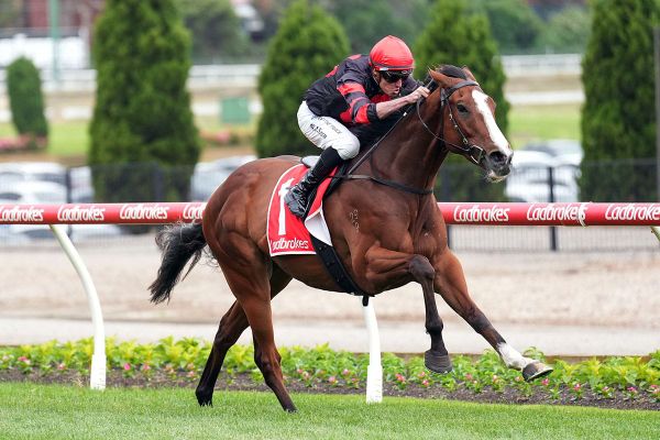 Big weight no worries for classy Dunkel