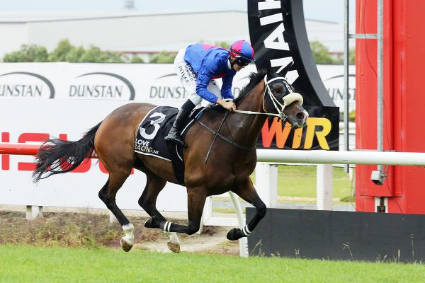 El Vencedor caps off good stakes form with a much-deserved victory