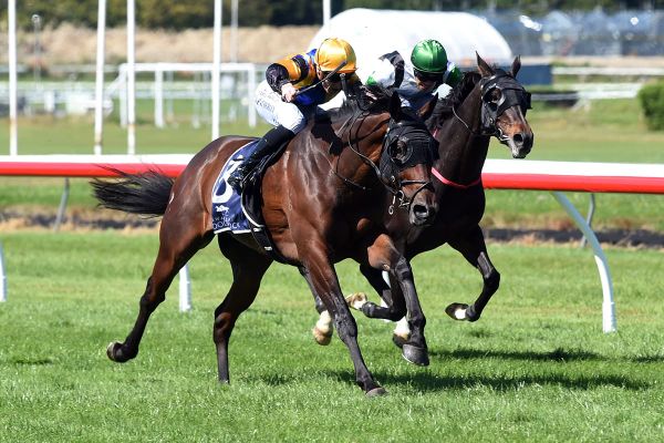 Ess Vee Are to resume at Pukekohe