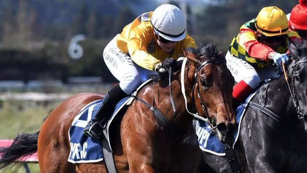 Fashion Icon on song for Trentham