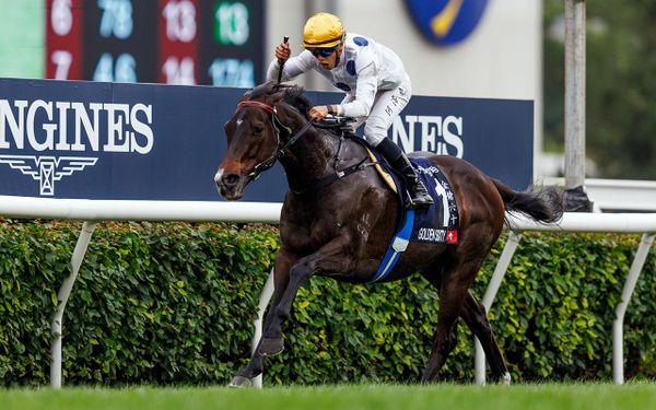 Golden Sixty returns seeking FWD Champions Mile quartet