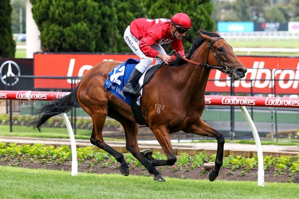 Hat-trick for Miss Tarzy