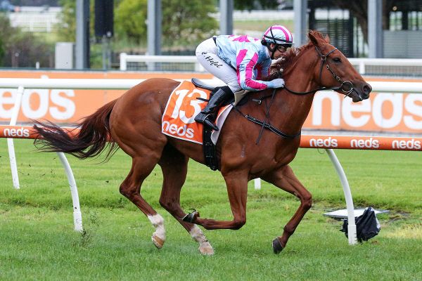 Mrs Chrissie makes bold return