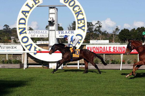 Nassak Diamond set for strong showing in Jericho Cup